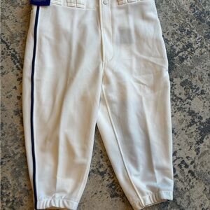 Mizuno White and Blue‎ Baseball Pants